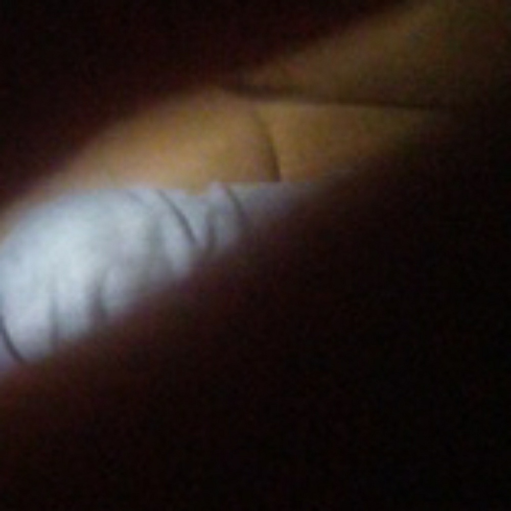 Meet your Posher, Cesar